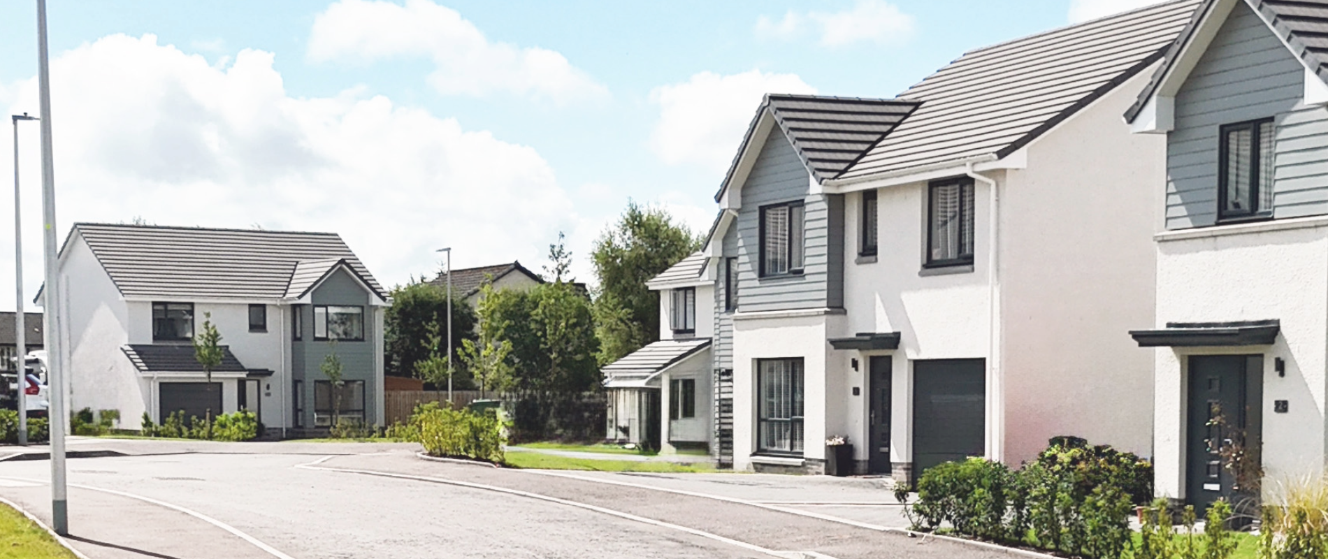 CAMPION HOMES LIMITED logo